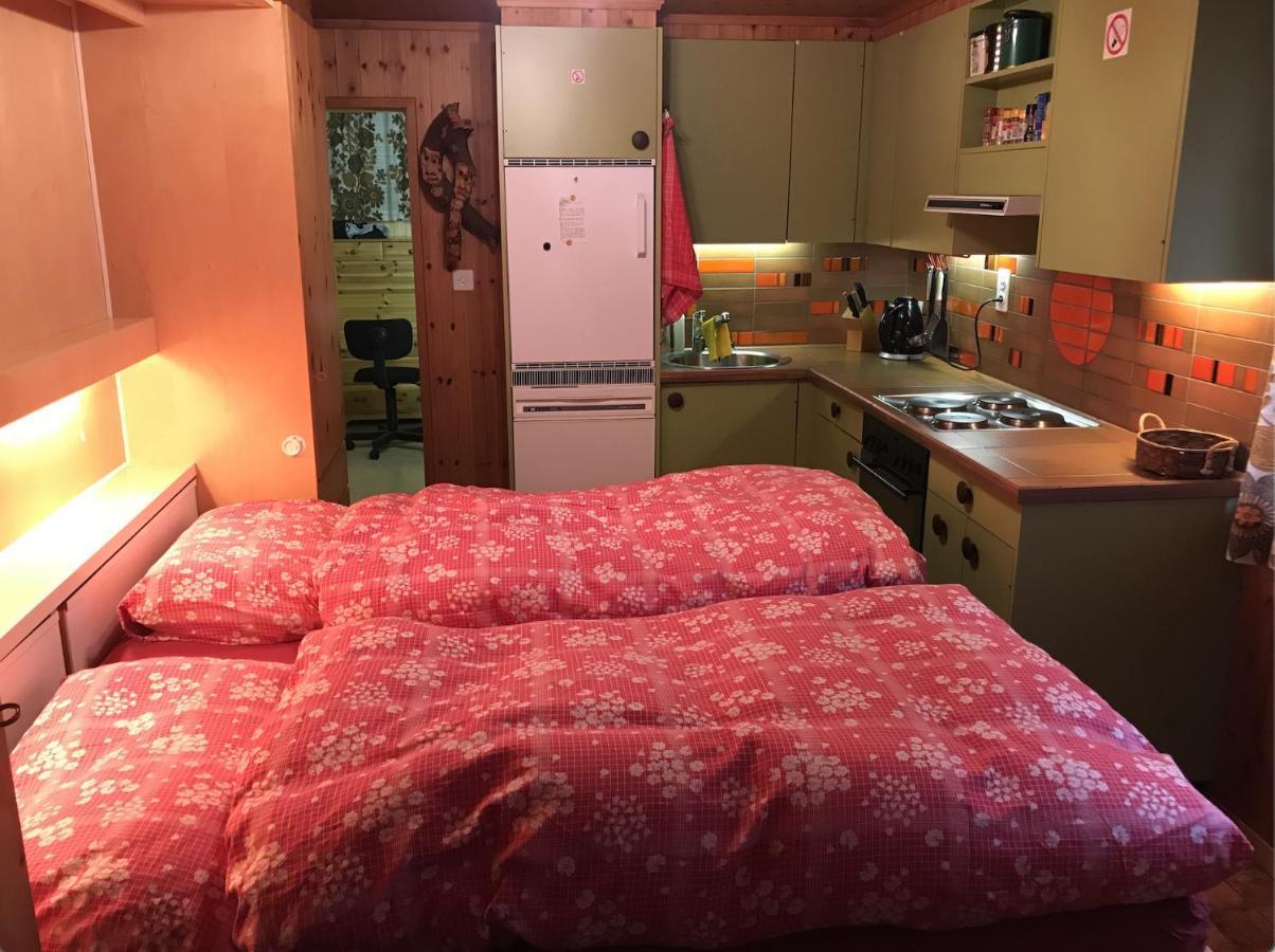 Ferienwohnung Im Chalet Boubou Wiler 외부 사진